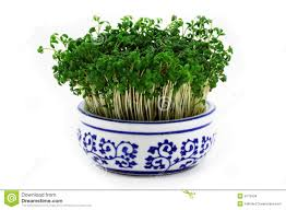 Groepen 1/2A en 1/2B:  oproep