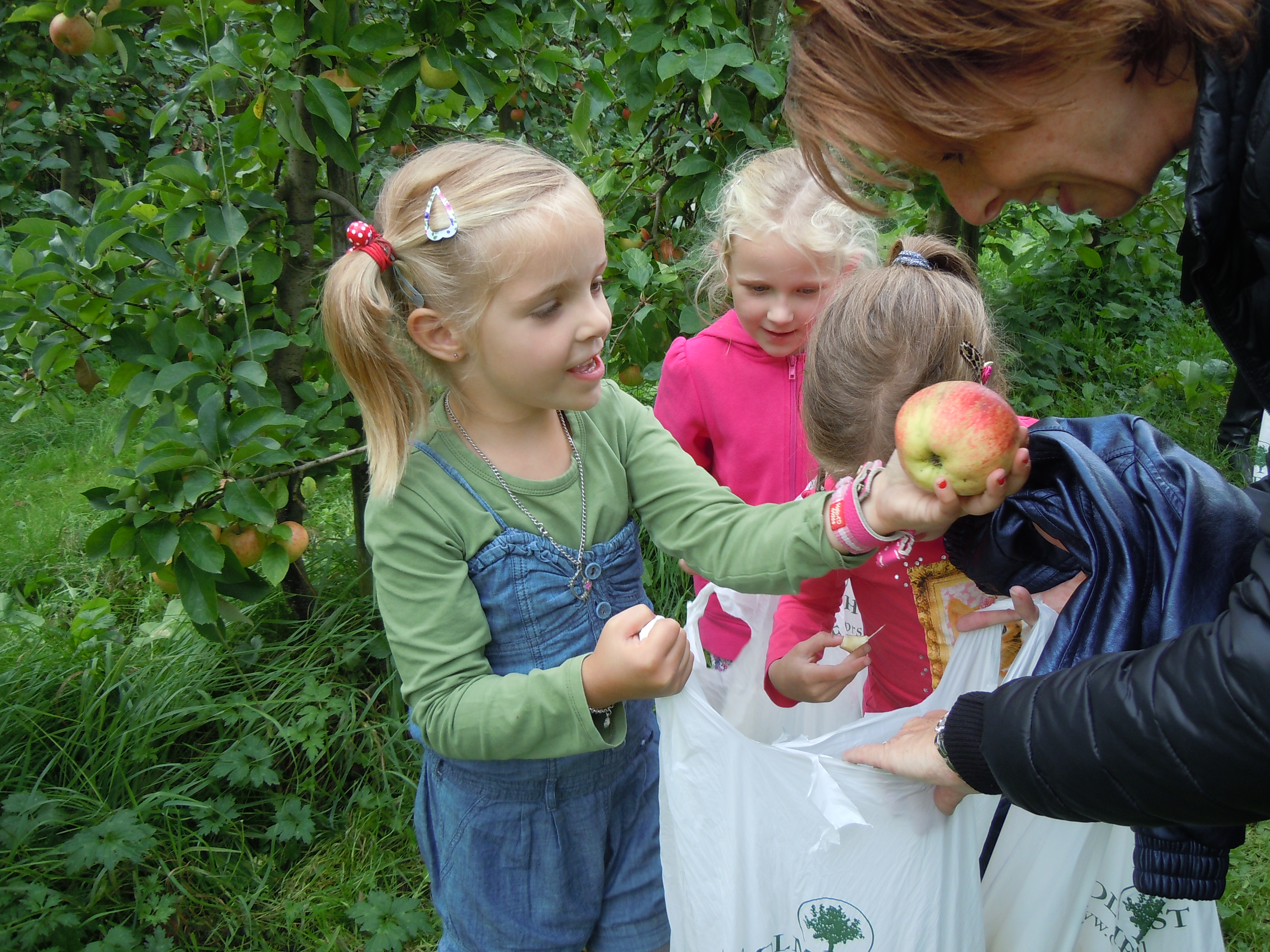 Groepen 1-2A en 1-2B excursie naar Landgoed de Olmenhorst
