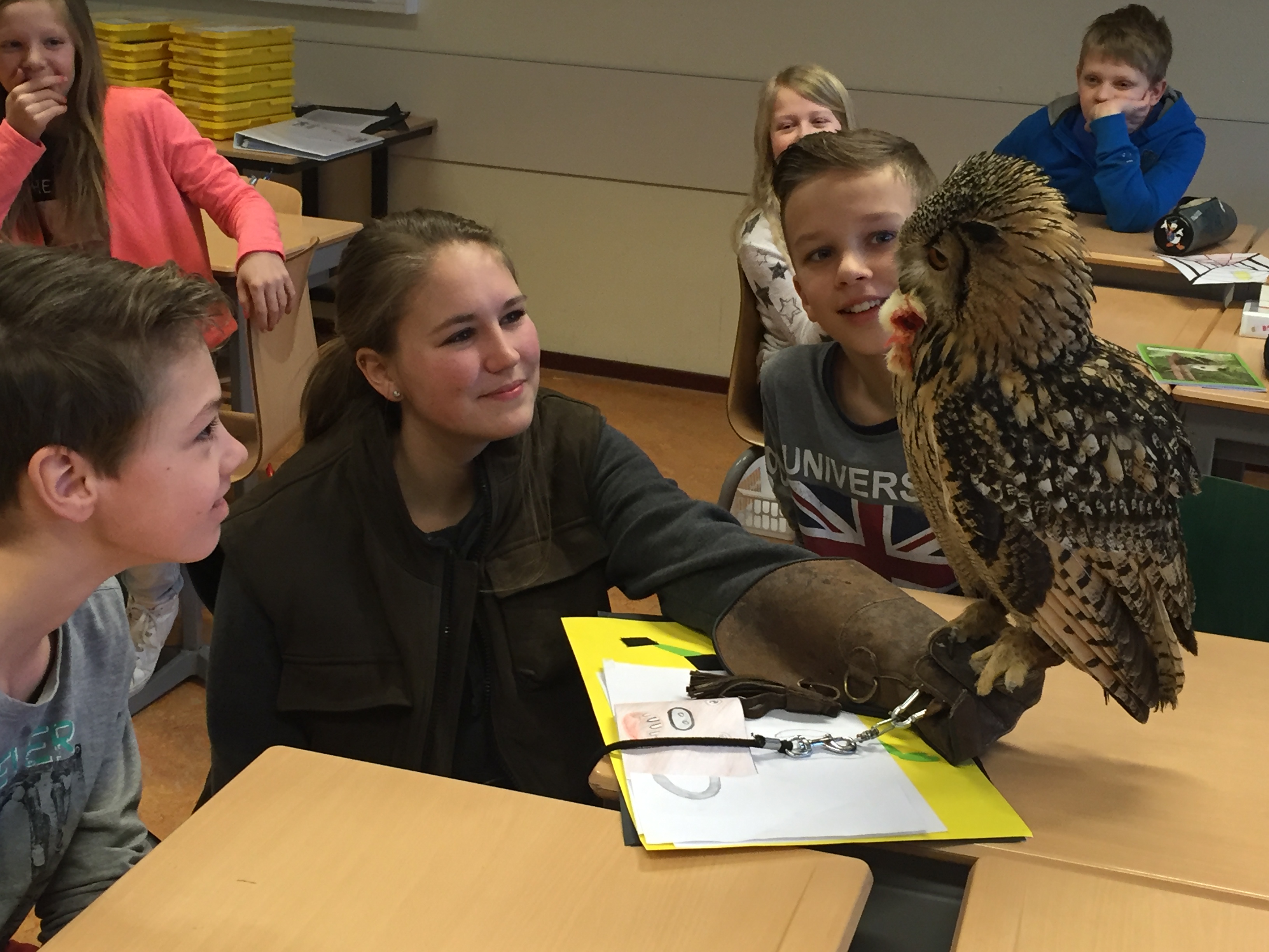 Uil in de klas