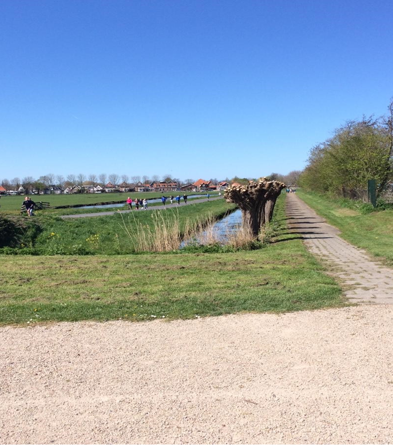 Mooie opbrengst van de 32ste sponsorloop: € 2.155.