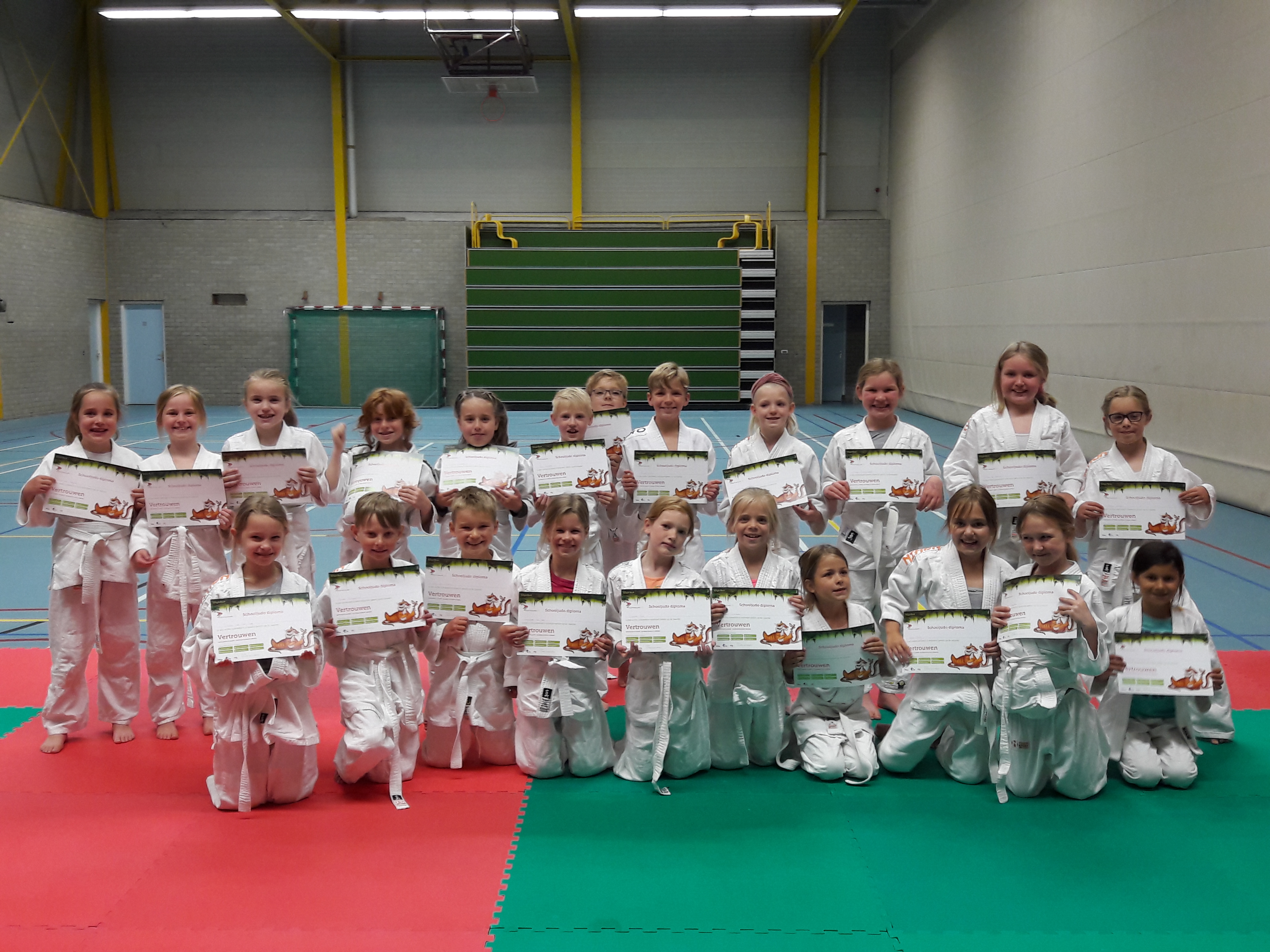Judodiploma
