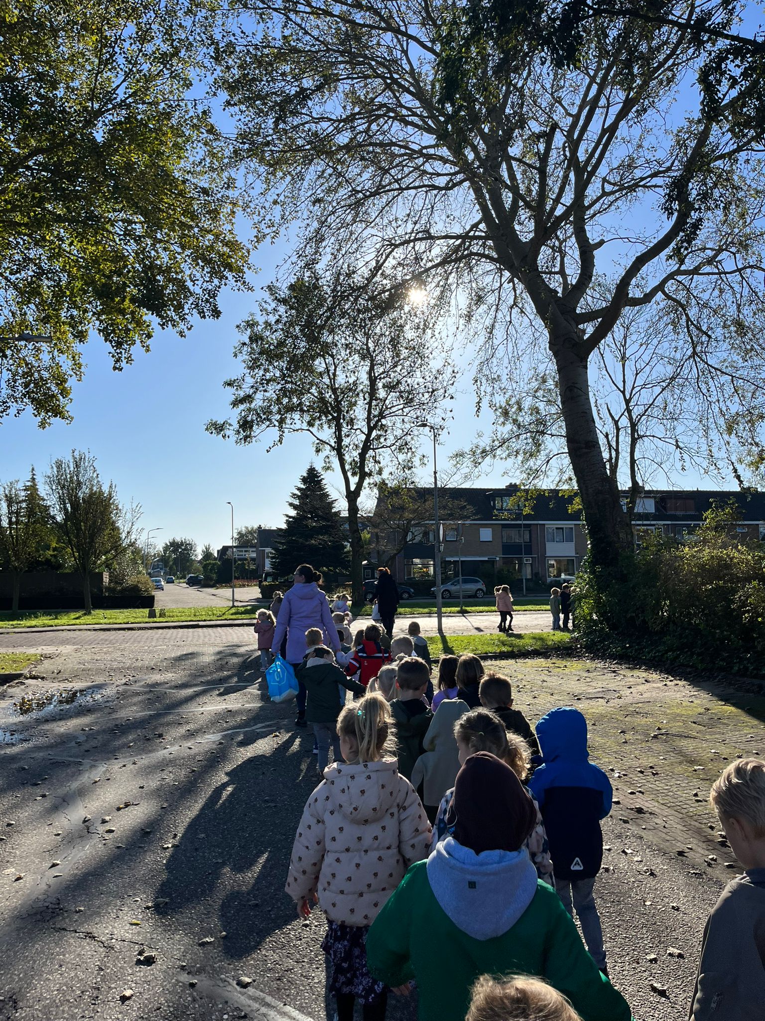 Opzoek naar herfstschatten